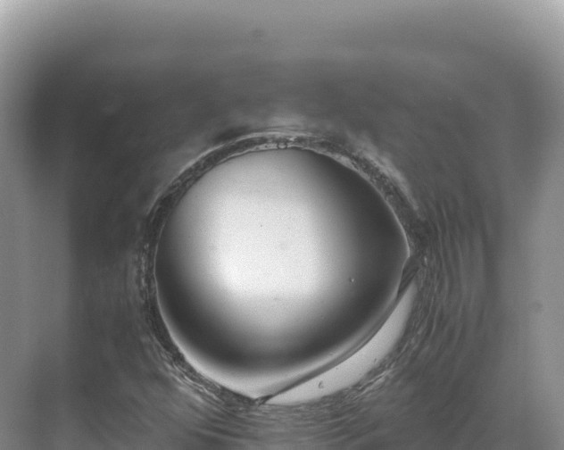 X0000071381352200606301759