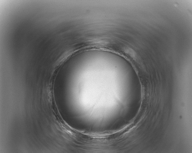 X0000071381354200606301759