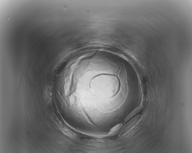 X0000071381355200606301759