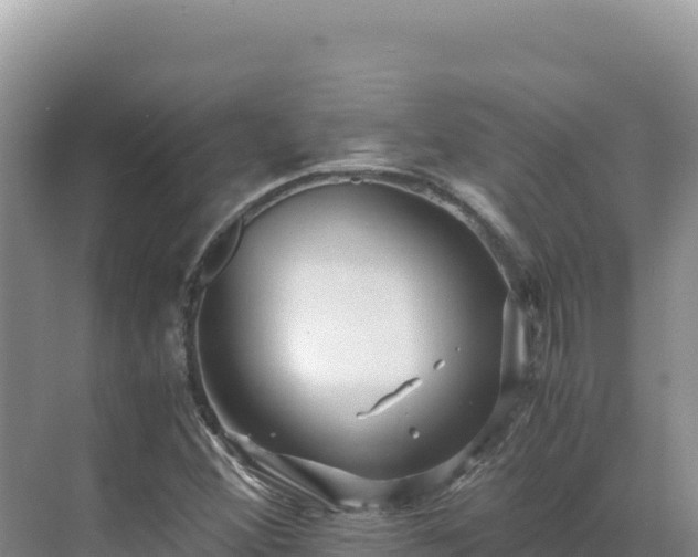 X0000071381356200606301759