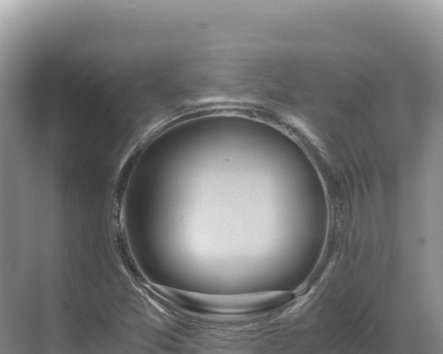 X0000071381357200606301759