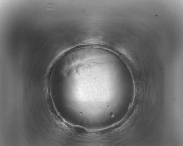 X0000071381358200606301759