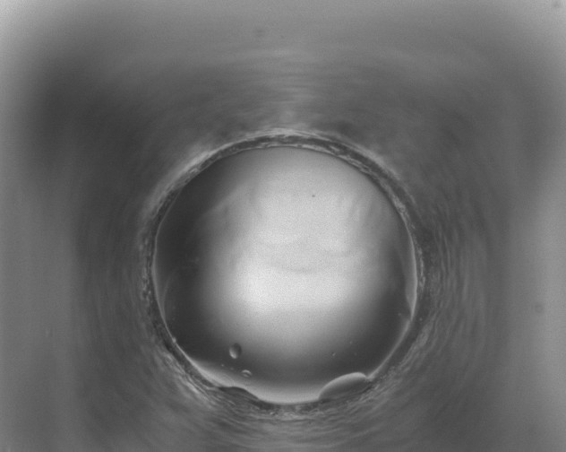 X0000071381359200606301759