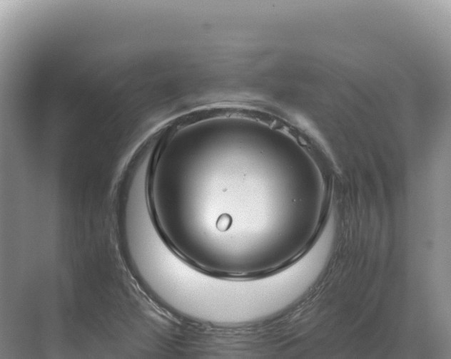 X0000071381360200606301759