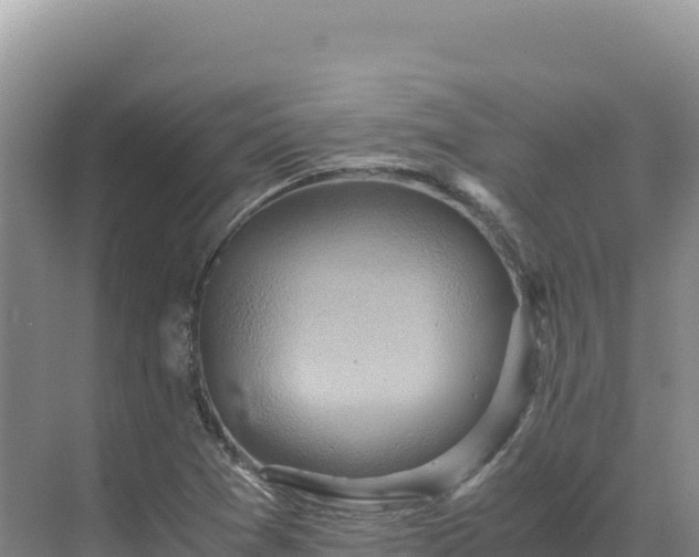 X0000071381361200606301759