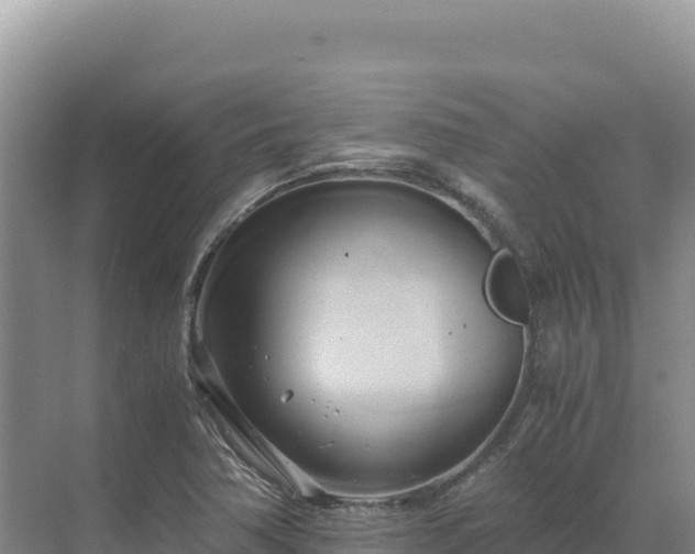 X0000071381362200606301759