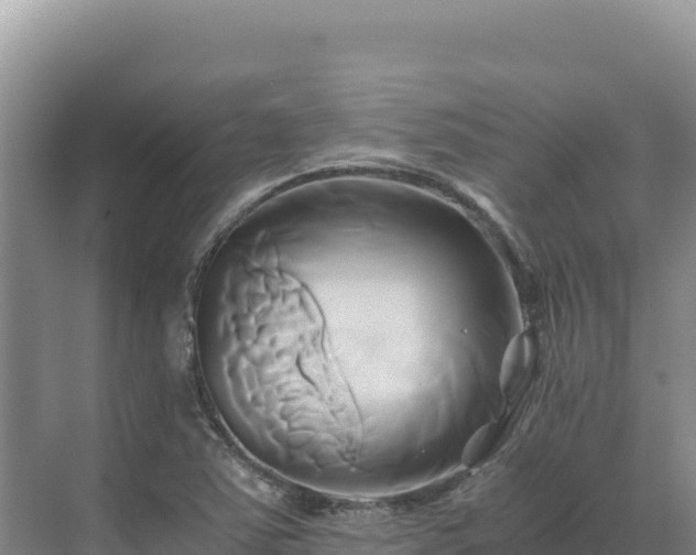 X0000071381363200606301759