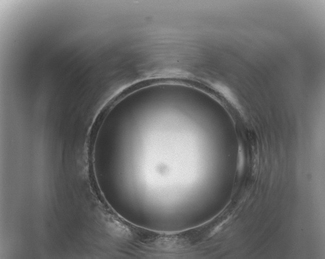 X0000071381364200606301759