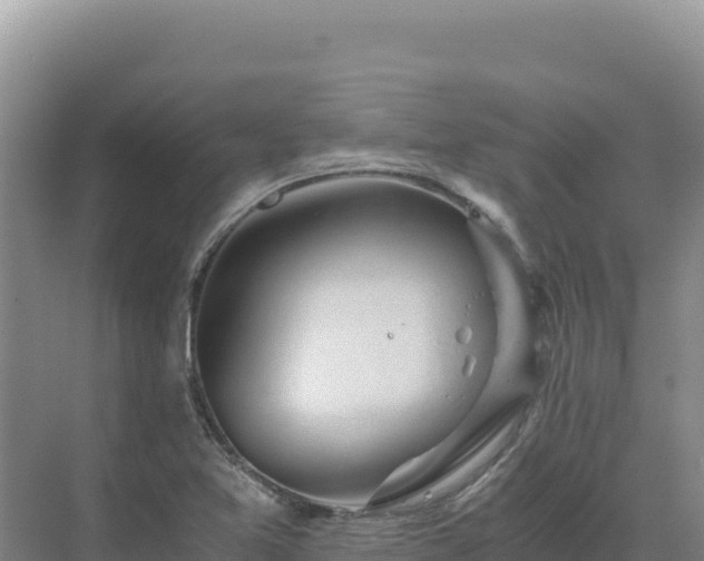 X0000071381365200606301759