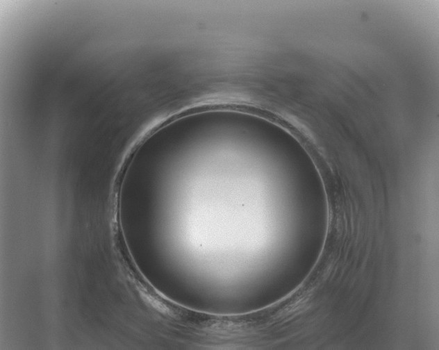 X0000071381366200606301759