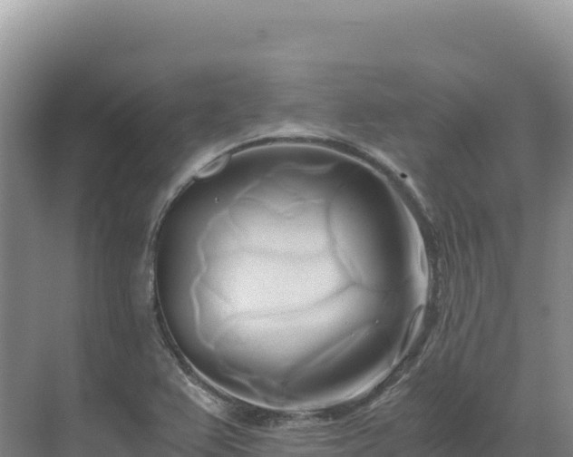 X0000071381367200606301759