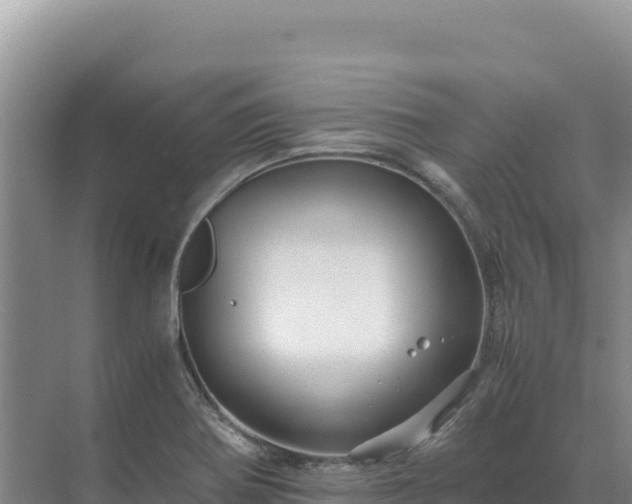 X0000071381370200606301759