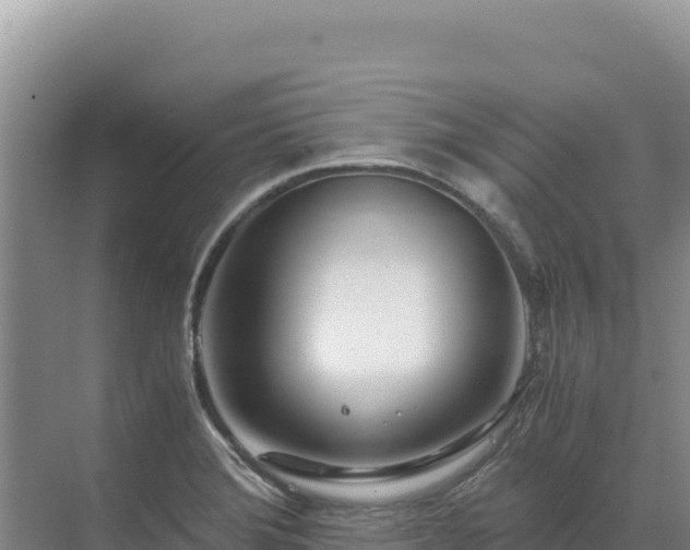 X0000071381372200606301759