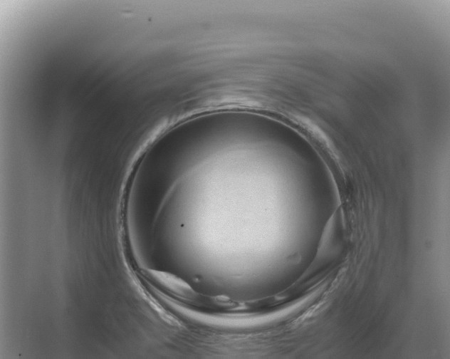 X0000071381373200606301759