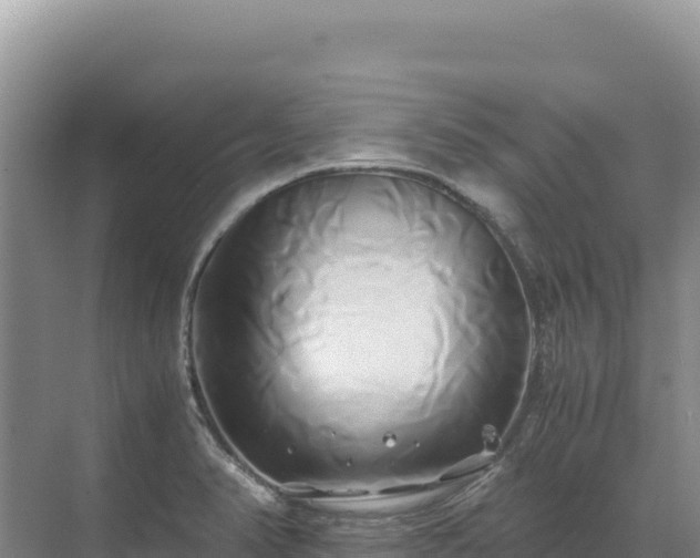 X0000071381374200606301759