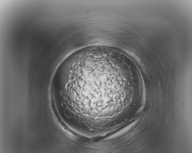 X0000071381375200606301759