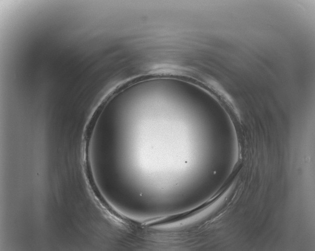 X0000071381376200606301759