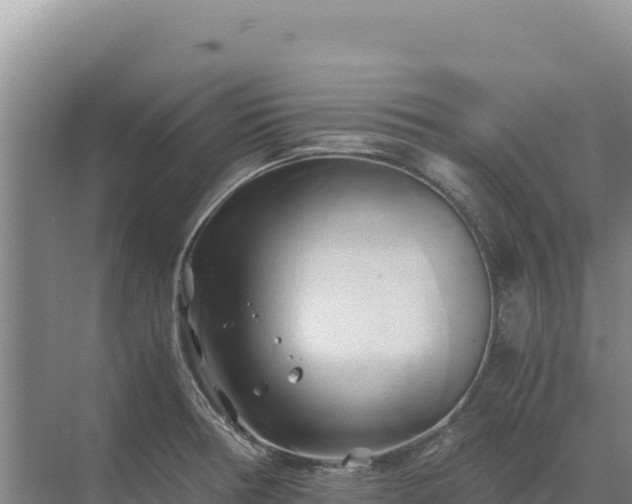 X0000071381378200606301759