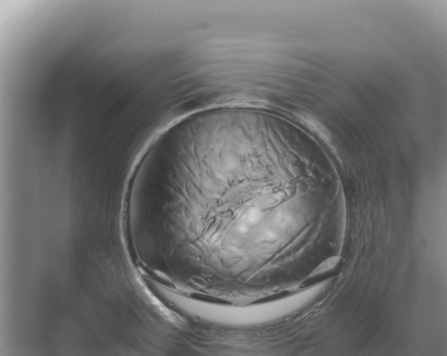 X0000071381379200606301759