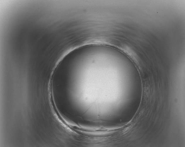 X0000071381382200606301758