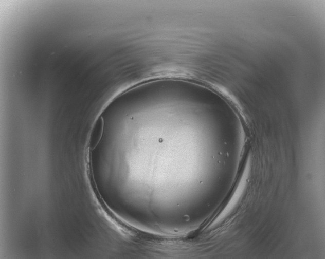 X0000071381383200606301758