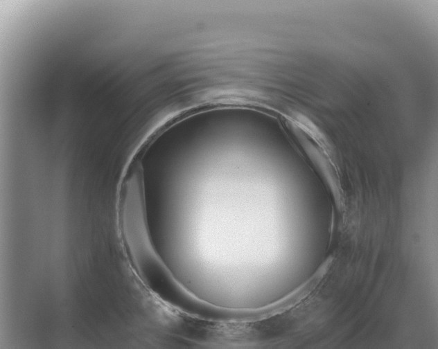 X0000071381384200606301758