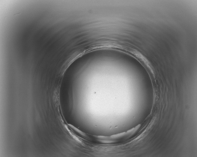 X0000071381385200606301758