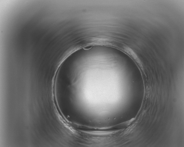 X0000071381386200606301758