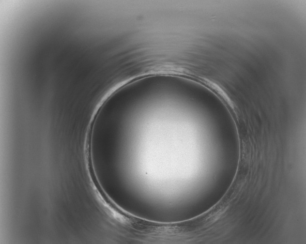 X0000071381387200606301758