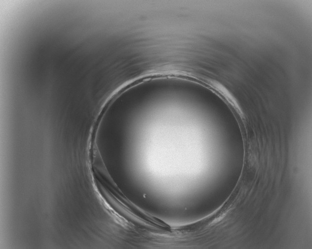 X0000071381388200606301758