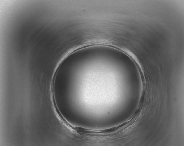 X0000071381389200606301758