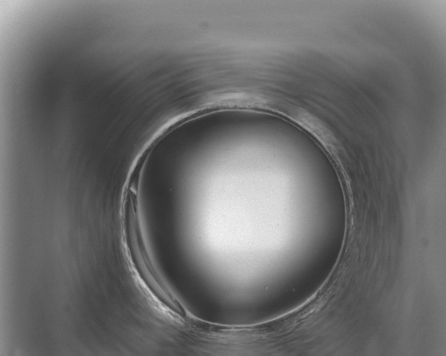 X0000071381392200606301758