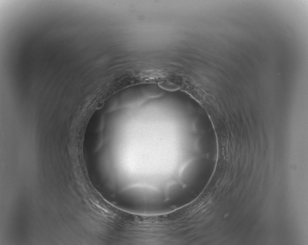 X0000071381393200606301757