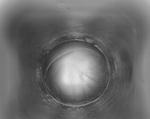 X0000071381397200606301758