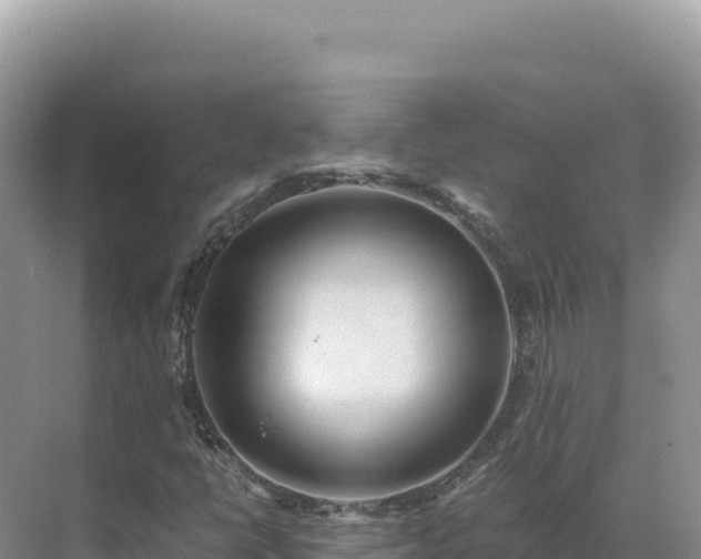 X0000071381398200606301758