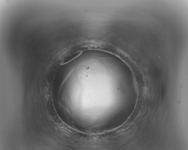 X0000071381399200606301758