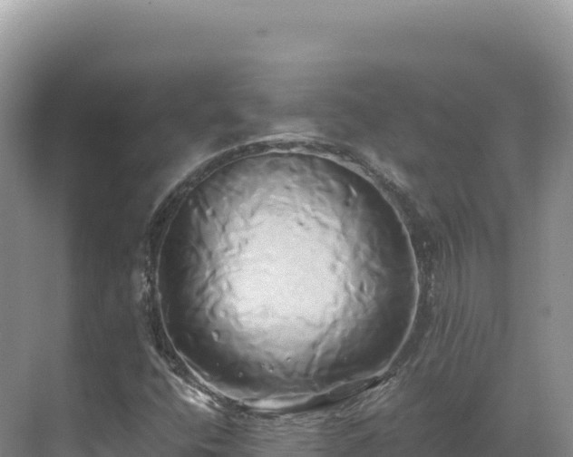 X0000071381400200606301758