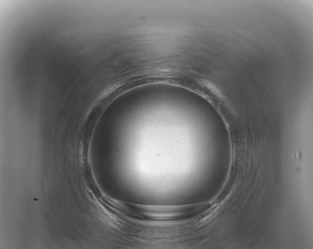 X0000071381402200606301758