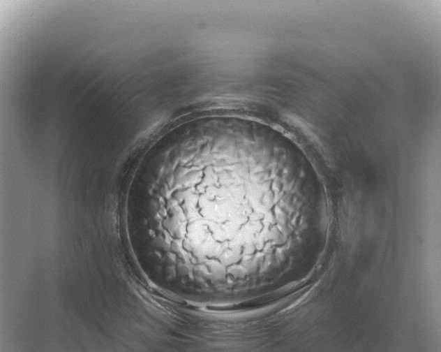 X0000071381403200606301758