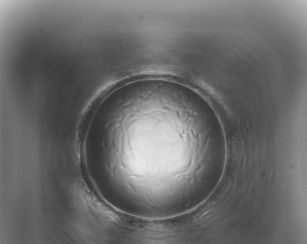 X0000071381408200606301758