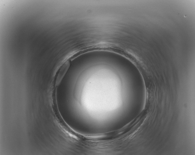 X0000071381410200606301758