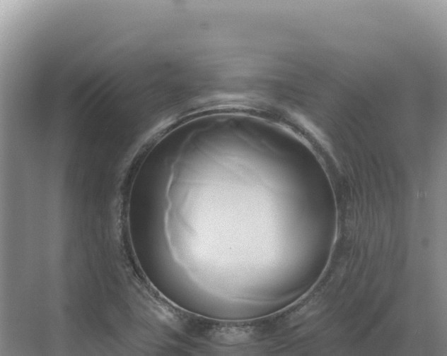 X0000071381411200606301758