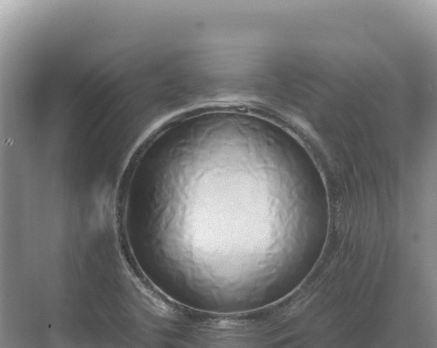 X0000071381412200606301758