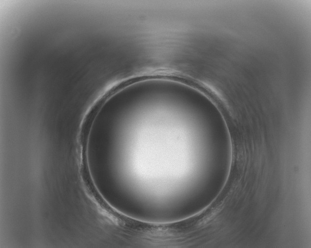 X0000071381414200606301758