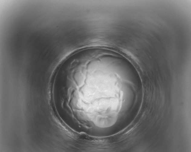 X0000071381415200606301758