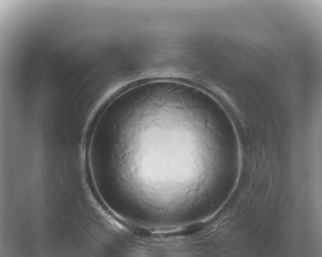 X0000071381416200606301758