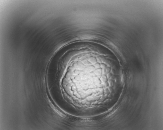 X0000071381417200606301758