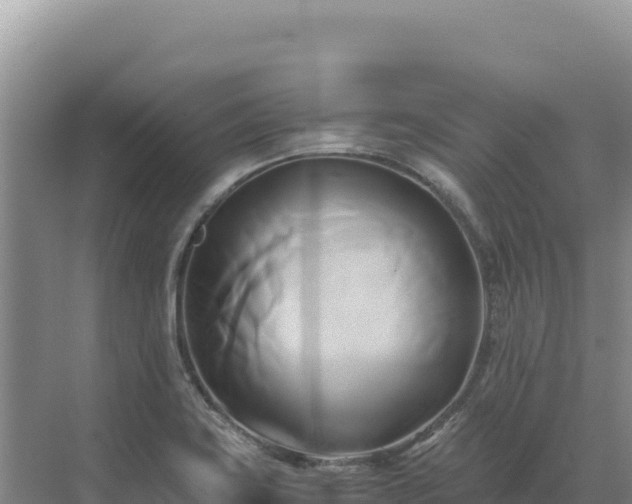 X0000071381419200606301758