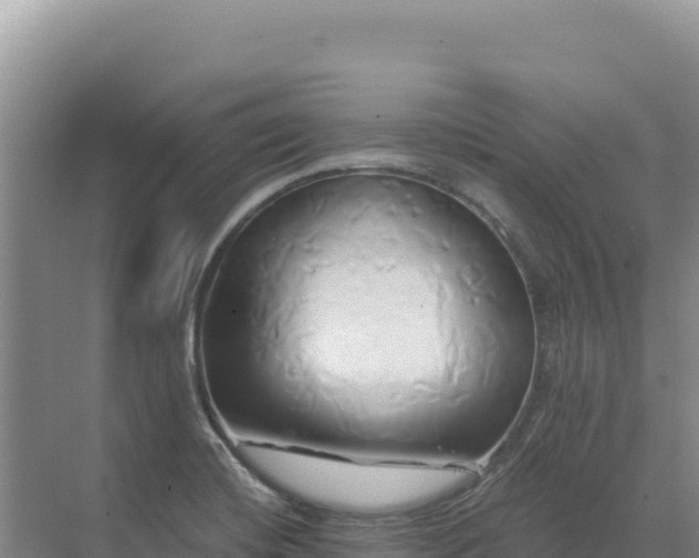 X0000071381420200606301758