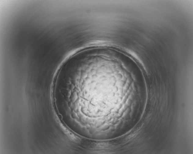 X0000071381421200606301758